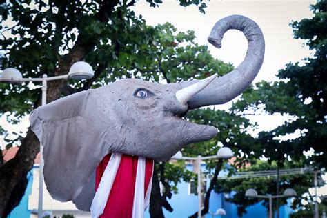 Anos Do Elefante De Olinda Pe No Carnaval