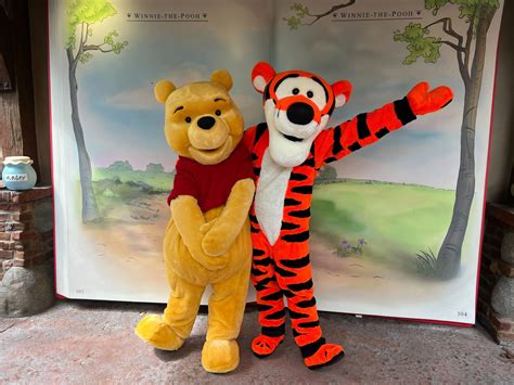 Pooh Tigger Meet And Greet Returns To Magic Kingdom WDW News Today