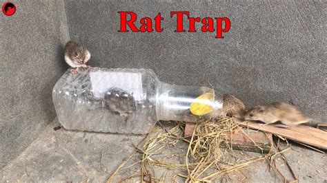 Trampa Para Ratas Trampa Para Ratones Con Botella De Agua Bricolaje