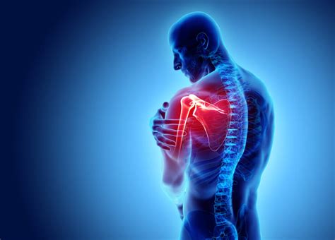 Slap Tears Labral Tears Of The Shoulder Physiotherapy In Henley Beach Manual Therapy
