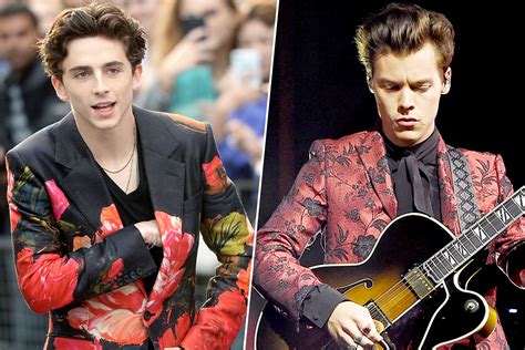 Harry Styles and Timothée Chalamet Should Be the Last-Ever Celebrity-on ...