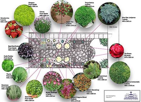 Online Garden Design Qualifications Fasci Garden