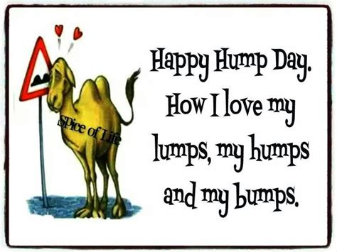 Hump Day Hump Day Good Morning Quotes Hump