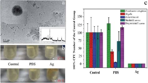 A Tem Images And Xrd Pattern Of Ag Nps B Pbs And Ag Nps Loaded