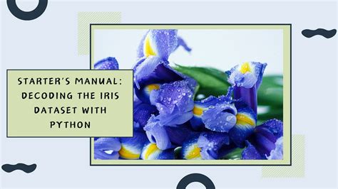 The Most Insightful Stories About Iris Dataset Medium