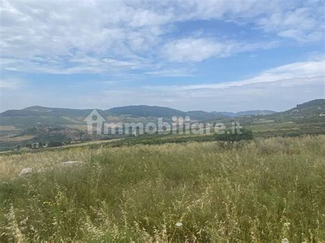 Terreno Agricolo Contrada Gagliardetta Castellammare Del Golfo Rif