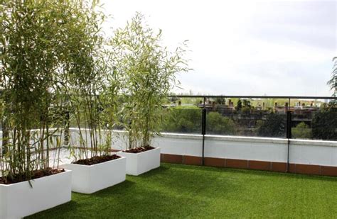 PLANTAS Y FLORES PARA TERRAZAS RESISTENTES AL SOL