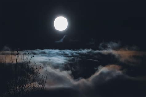 Fog full moon Images - Search Images on Everypixel