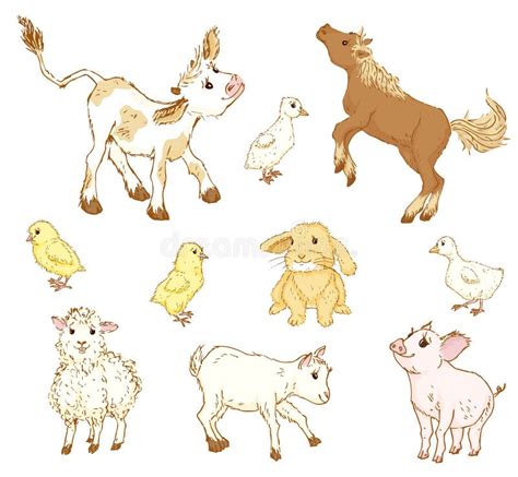 Farm baby animals. stock vector. Illustration of illustration - 67626287