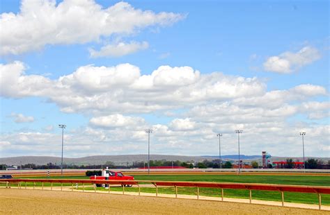 Edit free photo of Race track,farm,race,track,stallion - needpix.com