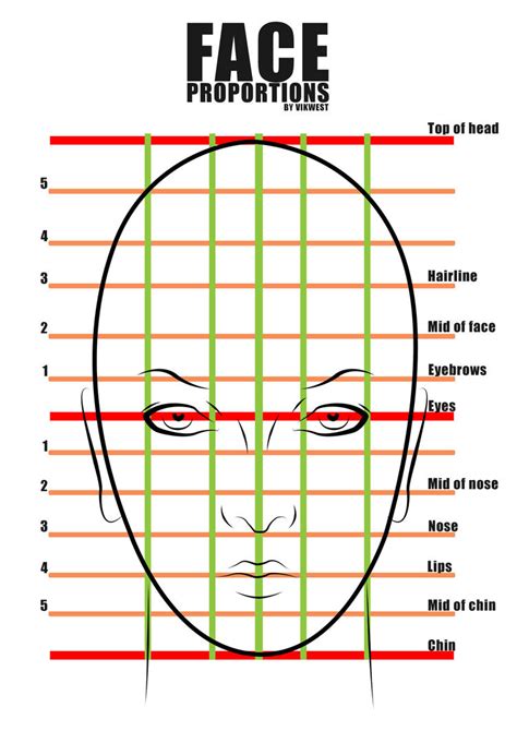 Female Face proportions by vik-west on DeviantArt