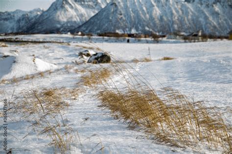 Lofoten im Winter - Norwegens Norden Stock Photo | Adobe Stock