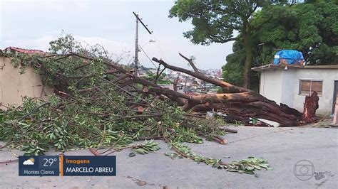 Temporal em Belo Horizonte alaga ruas e derruba árvores MG1 G1