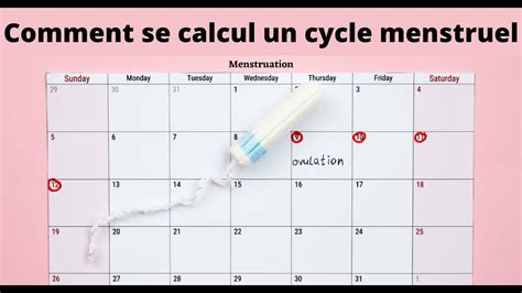 Comment Se Calcul Un Cycle Menstruel Femme F Condit Youtube