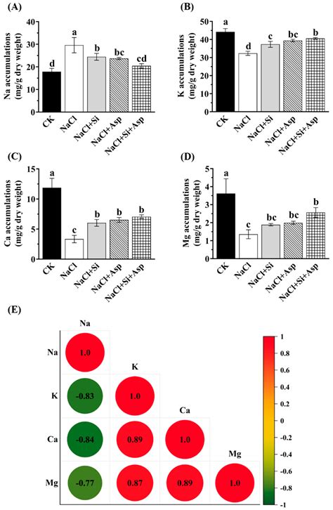 Plants Free Full Text Synergistic Effects Of Silicon And Aspartic Acid On The Alleviation Of