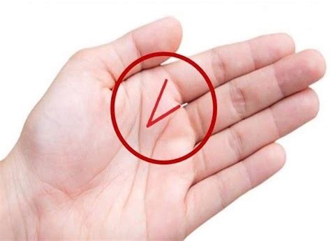 Palm Reading Mystic Triangle Psychic Triangle Letters M V And X