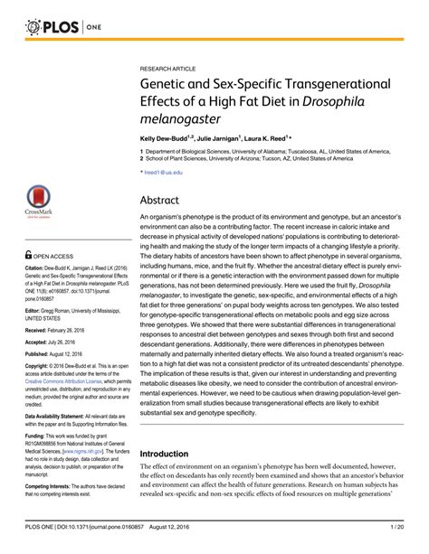 Pdf Genetic And Sex Specific Transgenerational Effects Of A High Fat