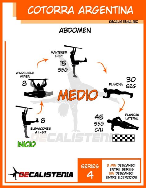 Pin De Carlosdecaldas En ExercÍcios Ejercicios De Calistenia