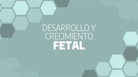 Desarrollo Y Crecimiento Fetal Jorge Antonio Santillan Garc A Udocz