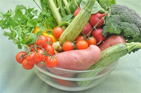 grow vegetables stock  images  backgrounds