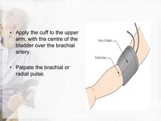 Palpate Brachial Pulse