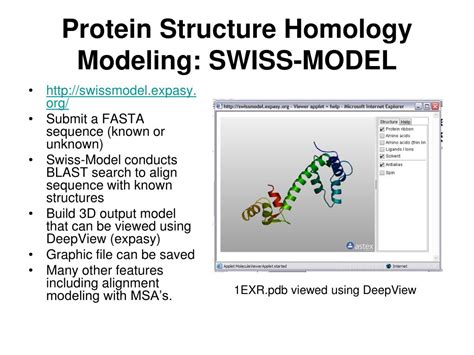 Ppt Bioinformatics Tools Powerpoint Presentation Free Download Id 988557