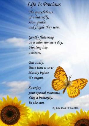 Butterfly Poems And Quotes. QuotesGram