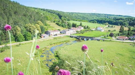 Modèle Expérience Office de Tourisme de l Ouest des Vosges