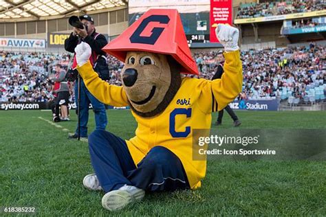 65 Oski (Mascot) Stock Photos, High-Res Pictures, and Images - Getty Images