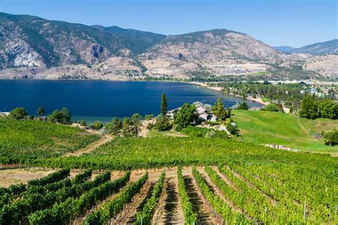 Private Day Tour To Five Wineries Naramata Bench 2023 Kelowna Okanagan