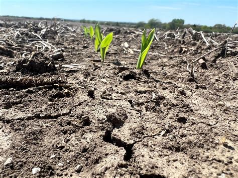 Minnesota Farmers Plant Crops Cut Hay As Dry Weather Continues