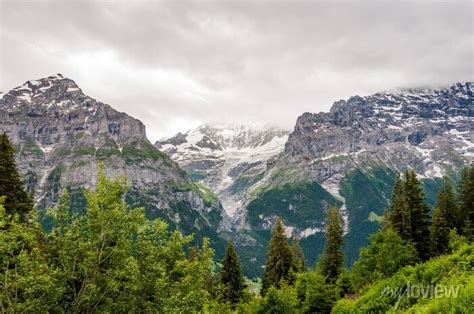 Grindelwald Schreckhorn Unterer Grindelwaldgletscher Eiger Posters