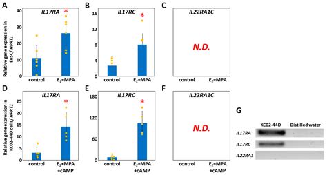 Reprod Med Free Full Text Il17a Suppresses Igfbp1 In Human