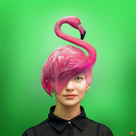 Intriguing Fusion 30 Surreal Photo Edits With Diverse Elements