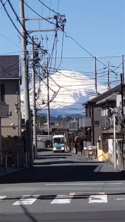 いつもここから♪｜花時計咲いた