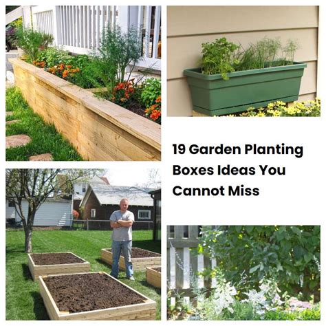 19 Garden Planting Boxes Ideas You Cannot Miss | SharonSable