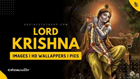 Best 1000 Lord Krishna Images Photos Pictures 3d Wallpaper