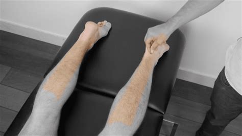 Dermatomes Lower Limb Peripheral Neurological Examination