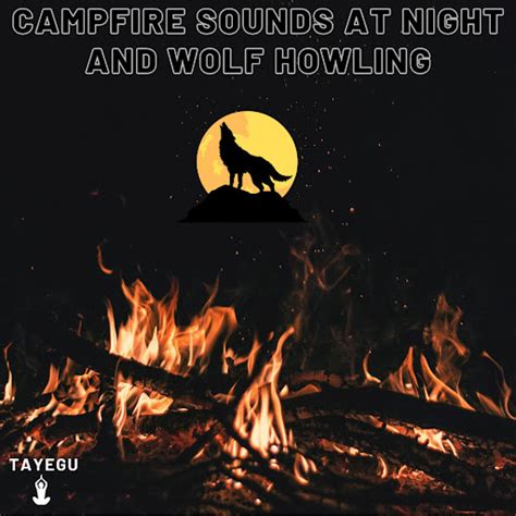 Campfire Sounds At Night And Wolf Howling Crickets Forest Camping