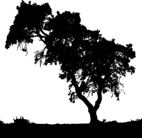 Download Landscape Trees Silhouette Royalty Free Vector Graphic