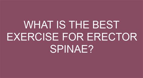 What Is The Best Exercise For Erector Spinae