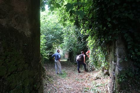 Taburno Trekking Montesarchio Giugno Tocco Caudio Il