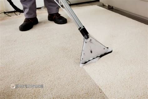 How To Clean A Jute Rug Expert Rug Cleaning Guide