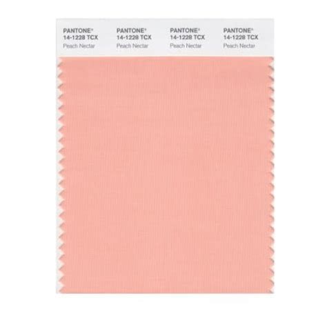 Pantone Smart X Color Swatch Card Peach Nectar Wall Decor Hot Sex Picture