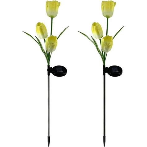 Lampe Solaire Fleur Exterieur Jardin Pack Fleurs Cam Lia Lampes