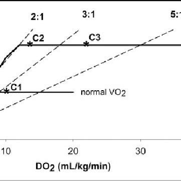 The Relationship Between Oxygen Consumption And Delivery At An Elevated