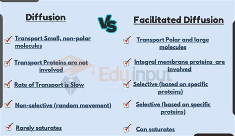 Diffusion vs. Facilitated Diffusion-Passive & Assisted Movement