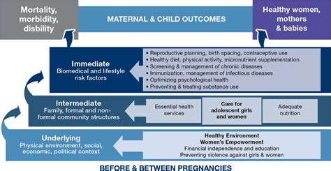 Born Too Soon Care Before And Between Pregnancy To Prevent Preterm Births From Evidence To