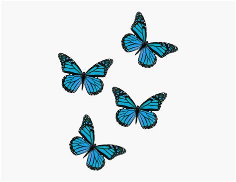 Dibujos De Mariposas Aesthetic