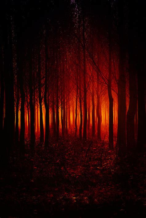 Evil Forest Pictures, Photos, and Images for Facebook, Tumblr ...